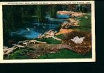 Alligator Farm in Los Angeles California