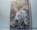 Easter Greetings-Rabbit with Chicks! Color!