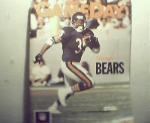 Gameday-11/12/89Steelers vs Bears