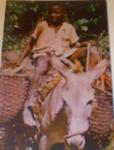 1960 The Little Woodman,Jamaica,B.W.I.