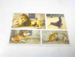 1960's Greetings from Zoological Gardens.Oh