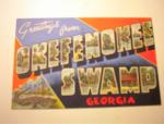 1951 Greetings from Okefenokee Swamp,Ga