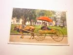 1913 A "Bovinemobile" Post Card