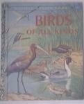 Birds Of All Kinds Little by Walter FergusonGolden Book