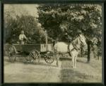 Picture of a Farmer on a Wagon Pulled by a Horse