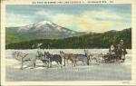 POSTCARD OF A DOG TEAM,MIRROR LAKE 1955