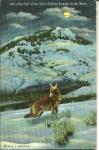 POSTCARD OF A COYOTE HOWLING 1953