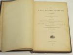 The ABC of Bee Culture- A.I. Root- 1883 Vintage