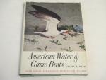 American Water & Game Birds- 1956- Austin L. Rand