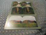 Stereoscope Cards-Giant Redwoods of California-Lot of 3